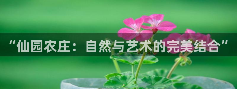 摩根娱乐宝.知道吗