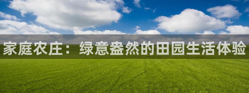 摩根娱乐宝机构代码