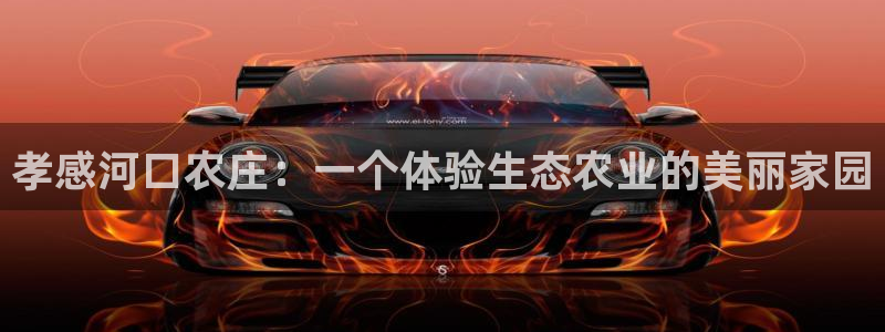 摩根士丹利娱乐