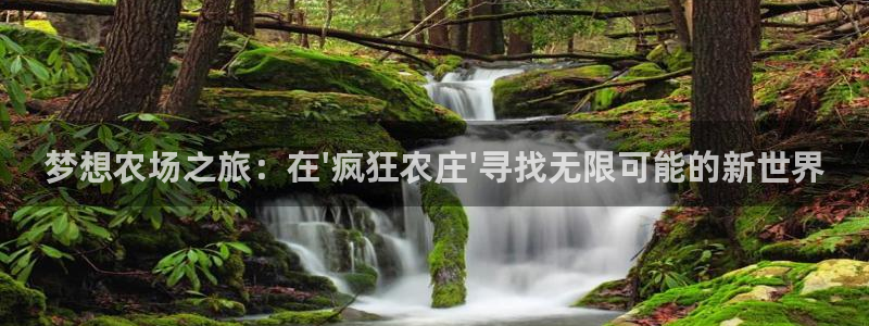 义乌摩根娱乐会所地址