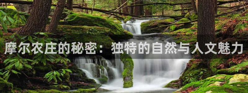 泉州摩根会娱乐张桂花