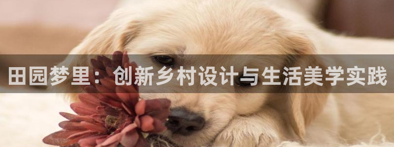 摩根娱乐注册m总管