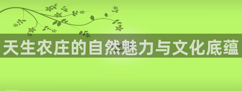 摩根娱乐挂机项目是什么