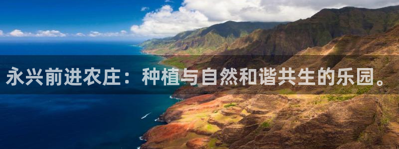 摩根大通投资娱乐公司