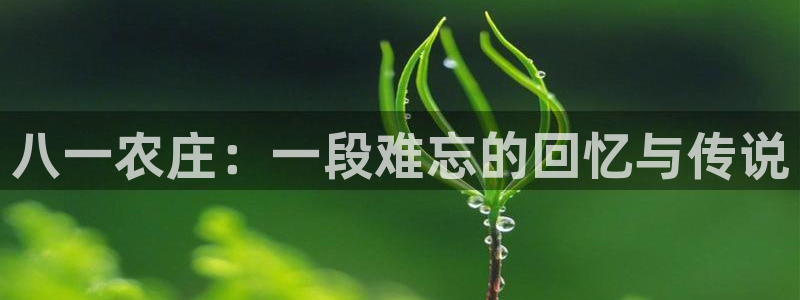 摩根娱乐50186找