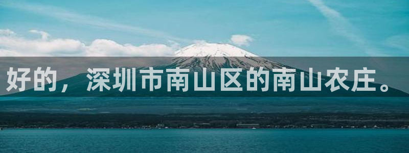 主角是摩根家族的娱乐文