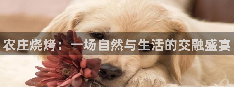 摩根娱乐彩票被骗了