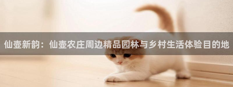 摩根娱乐帐7O777