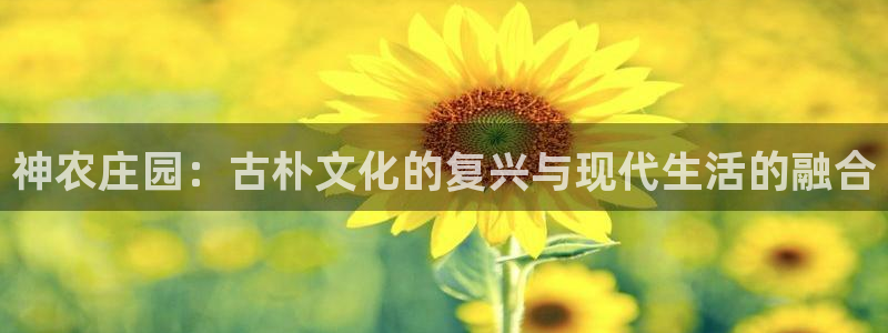 摩根娱乐50186找