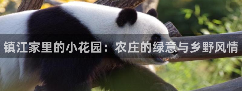 摩根娱乐宝如何提现