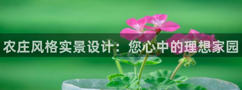 摩根娱乐宝合法吗