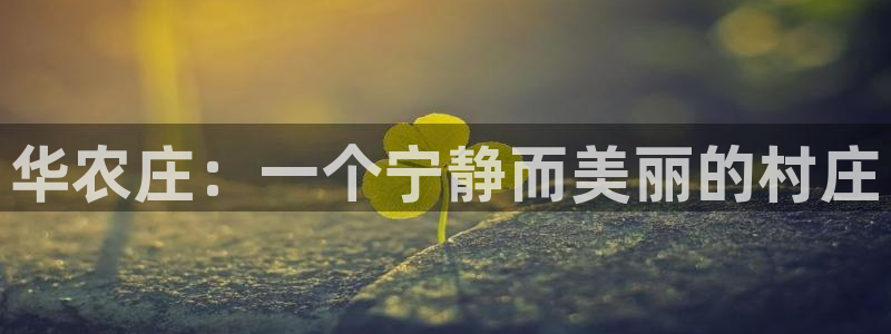 摩根娱乐宝收益怎么样