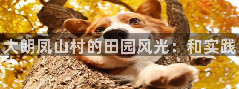 义乌摩根娱乐会所公主