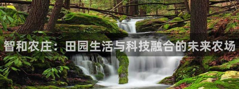 摩根娱乐宝登陆网址