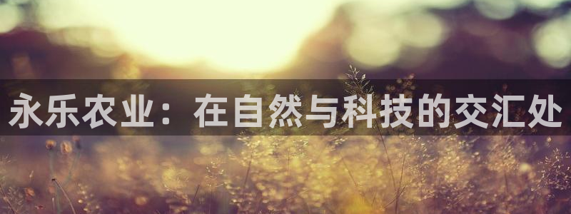 摩根娱乐怎么样