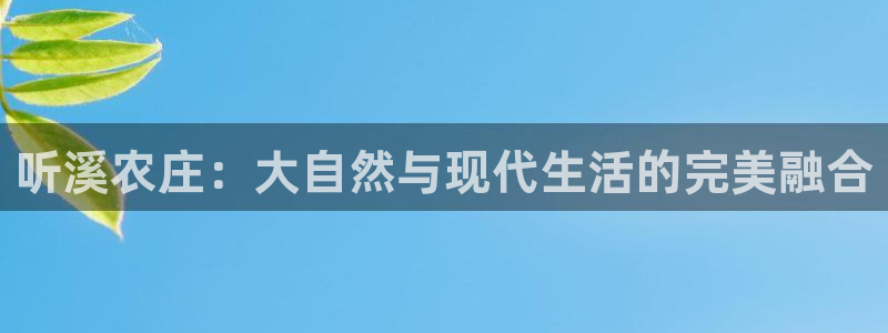 摩根国际娱乐宝官网