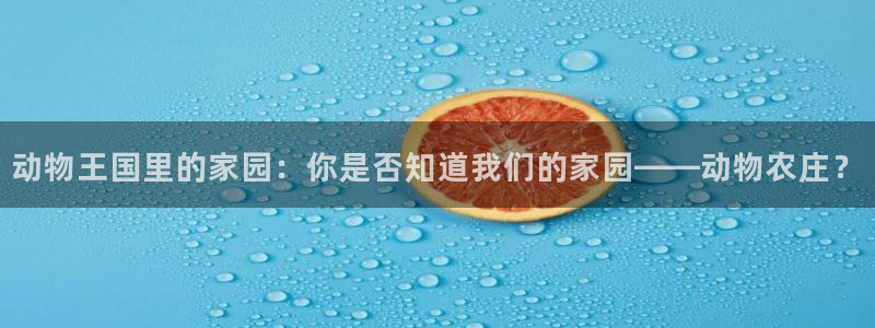 华视娱乐摩根王琛