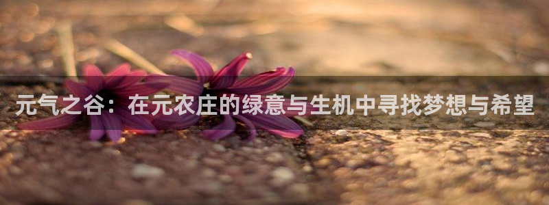 摩根娱乐宝怎么赚钱