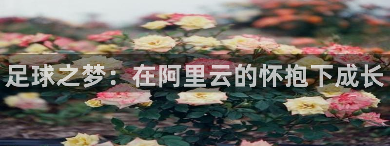 摩根 娱乐宝骗了我