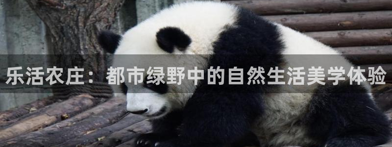 义乌摩根娱乐阿峰