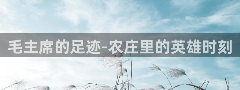 白宫摩根会娱乐有限公司