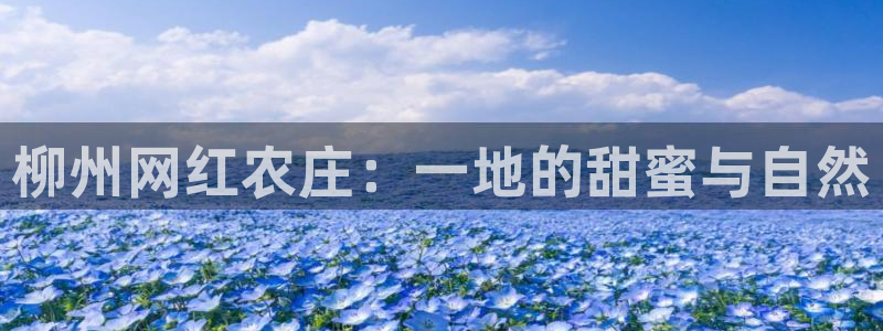 摩根娱乐垫付任务靠谱吗