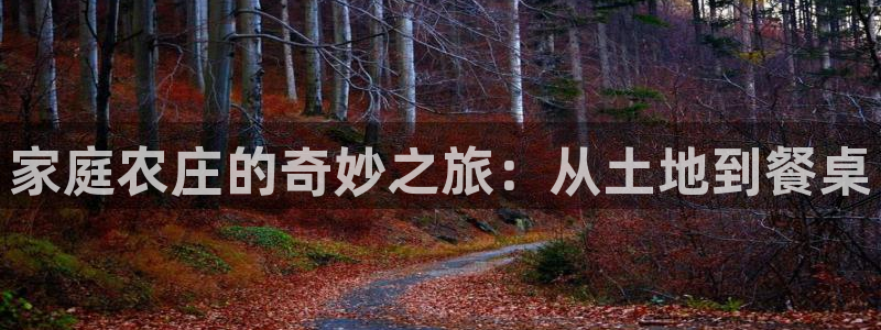 摩根娱乐¤股s东50015