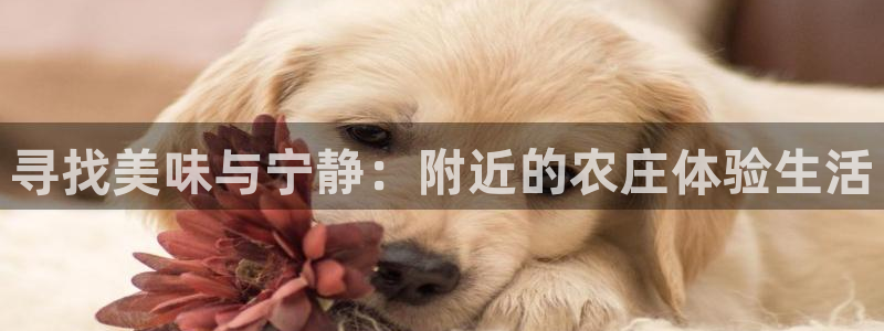 济宁摩根国际娱乐