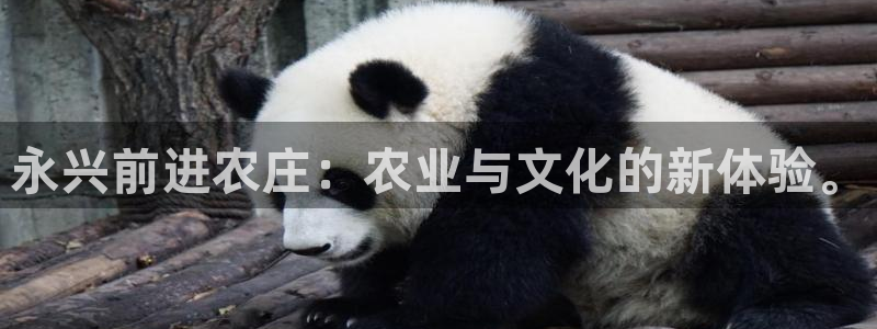 摩根娱乐这个平台怎么样