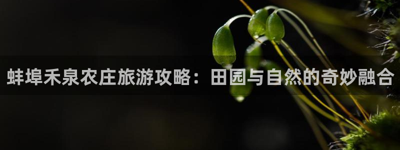 摩根国际娱乐宝官网下载