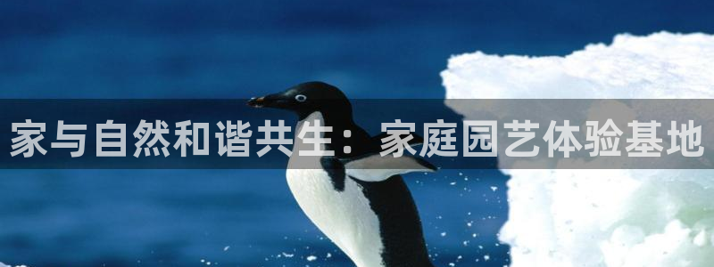 摩根娱乐 实c力77310