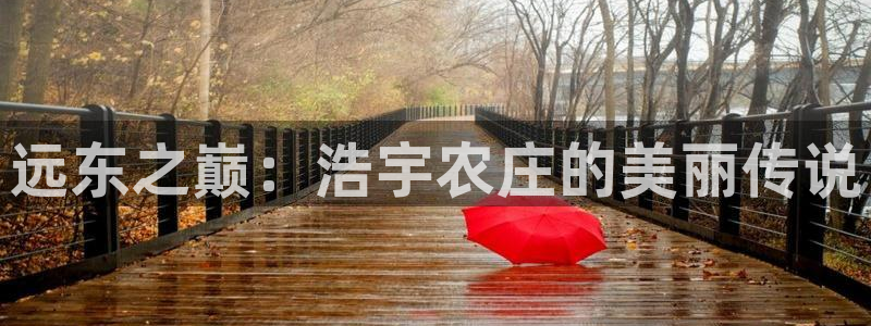 济宁摩根国际娱乐