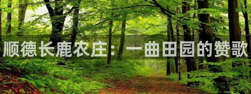 义乌摩根娱乐招聘少爷