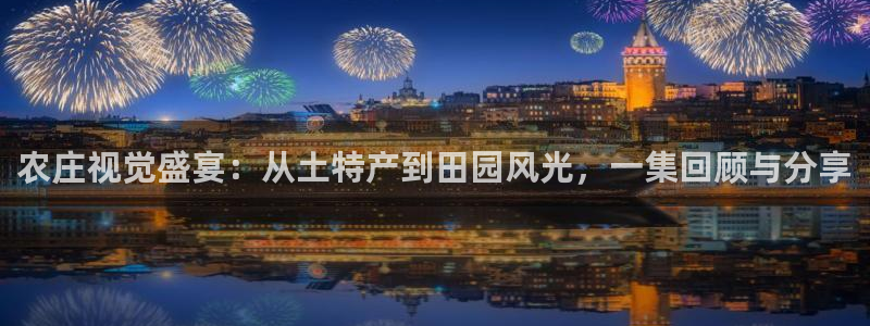 华视娱乐摩根王琛