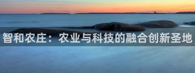 摩根娱乐宝是什么游戏