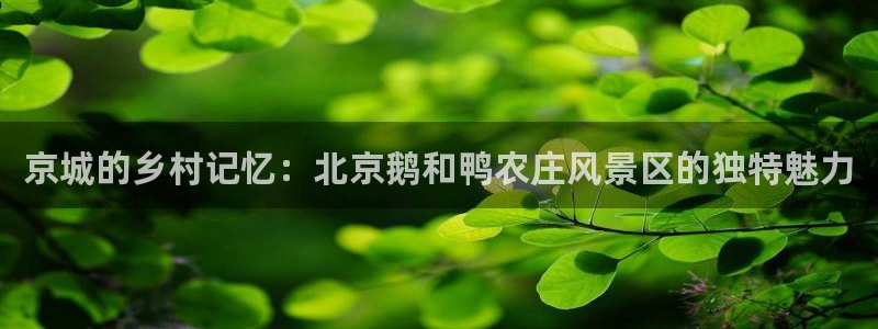 义务摩根娱乐会所电话