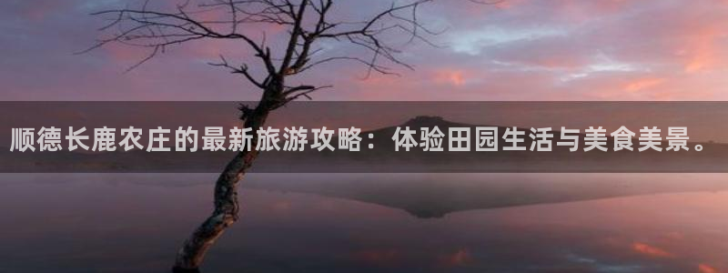 泉州摩根会娱乐有限责任公司管理