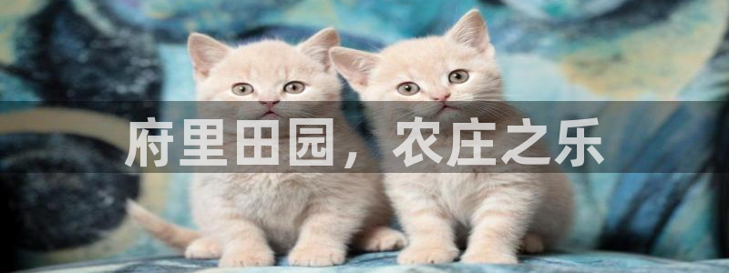 摩根娱乐宝真的假的