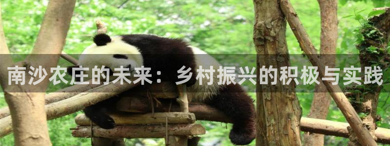 摩根娱乐挂机项目是什么