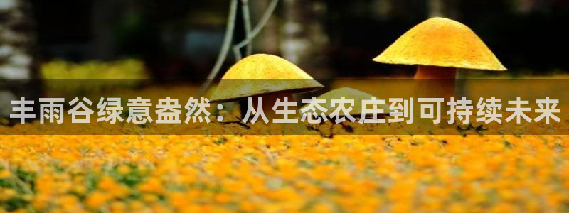 义乌摩根娱乐会所老板