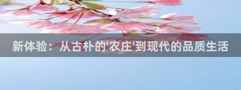 摩根娱乐会所电话