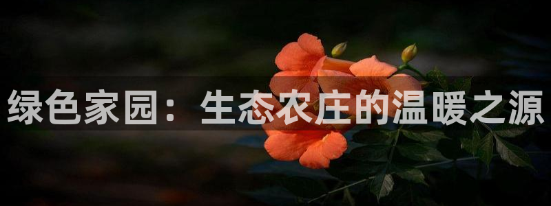 摩根娱乐挂机项目怎么样