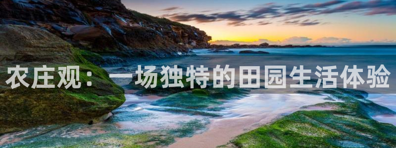 摩根娱乐平台注册