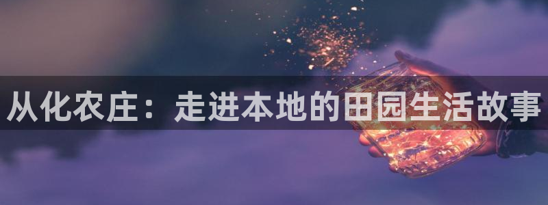 摩根合约娱乐宝