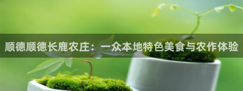 白宫摩根会娱乐会所