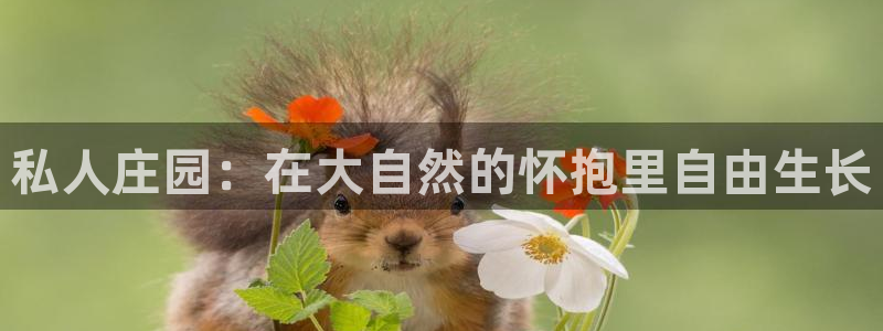 济宁摩根国际娱乐