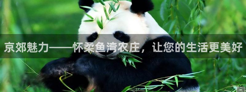 摩根娱乐宝怎么玩