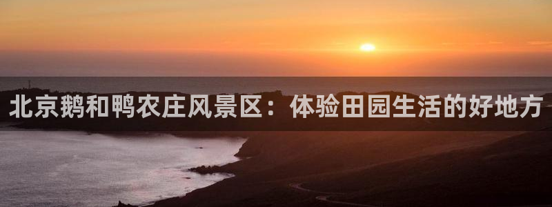 摩根娱乐身生个女孩吧