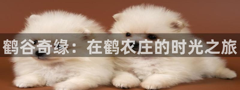 摩根大通投资娱乐公司