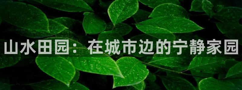 摩根转型娱乐的视频